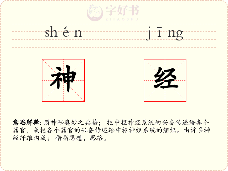 神经