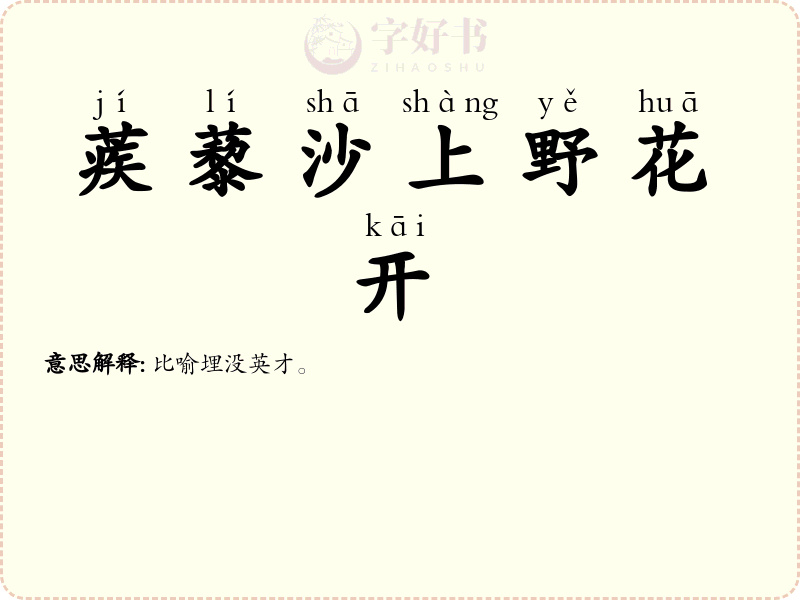 蒺藜沙上野花开