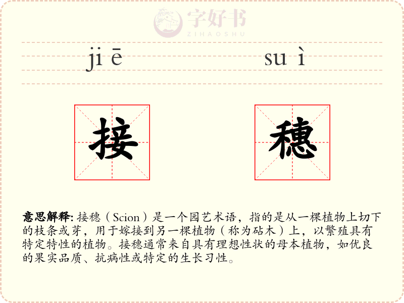接穗