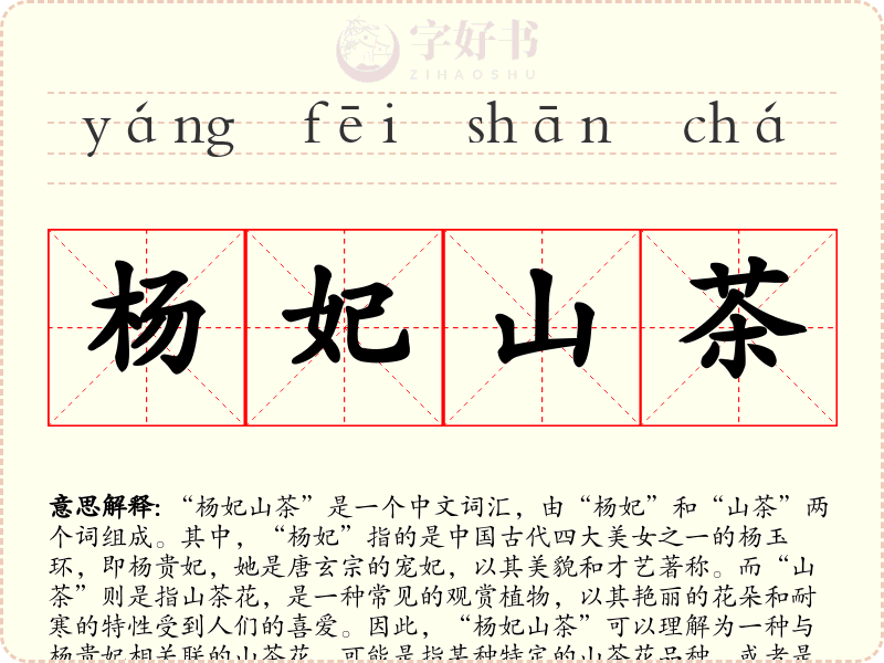 杨妃山茶
