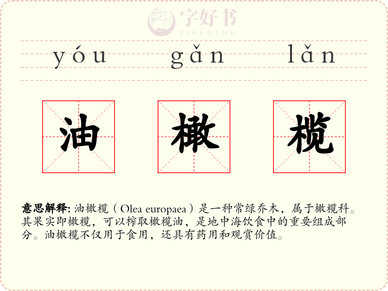 油橄榄