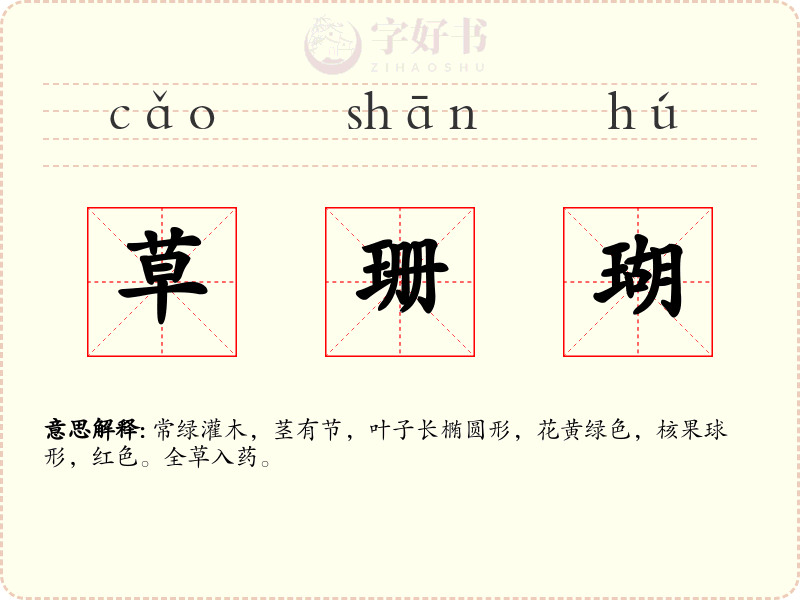 草珊瑚