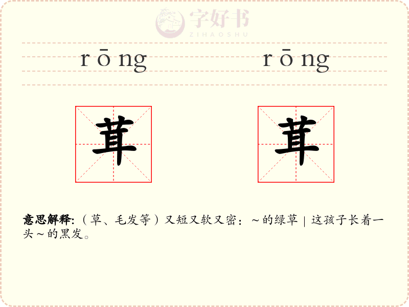 茸茸