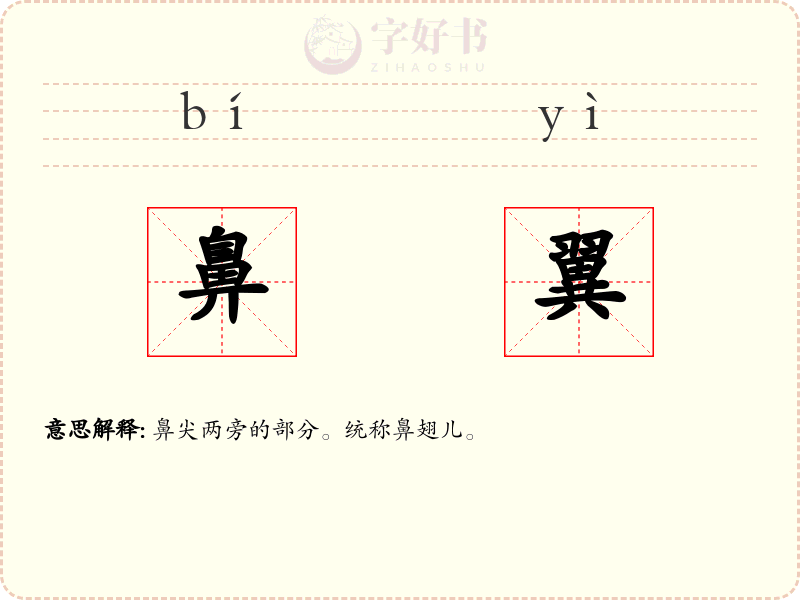 鼻翼