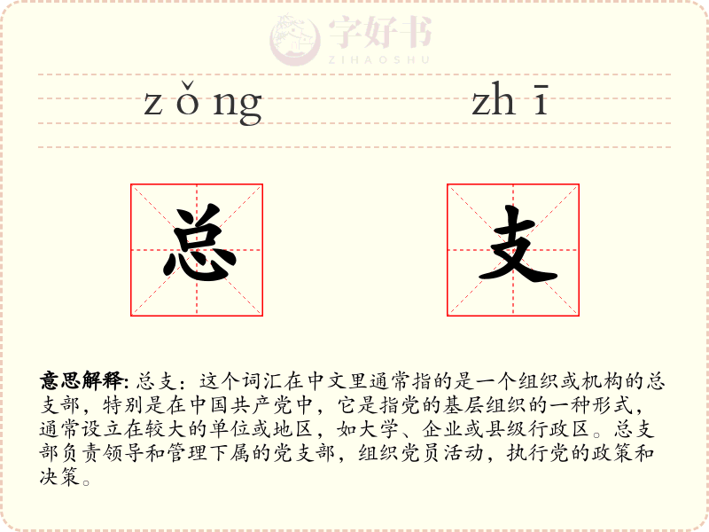 总支