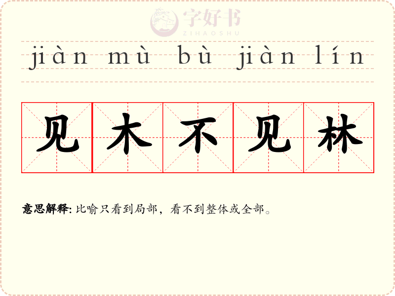 见木不见林