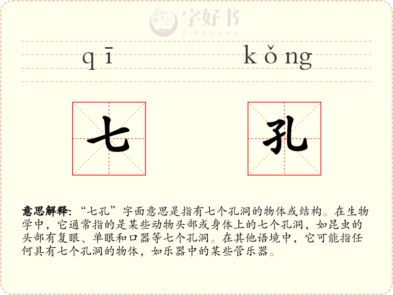 七孔
