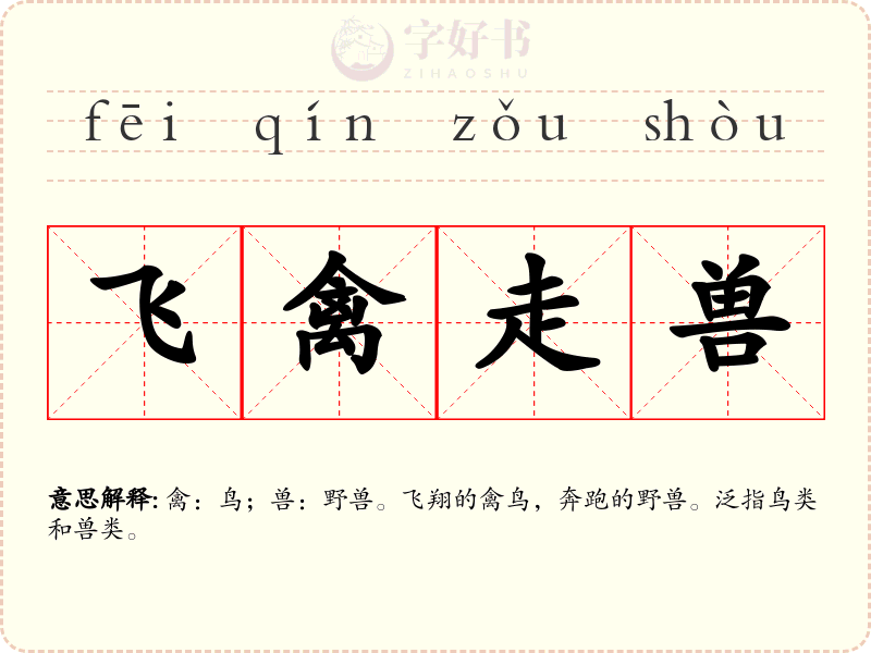 飞禽走兽