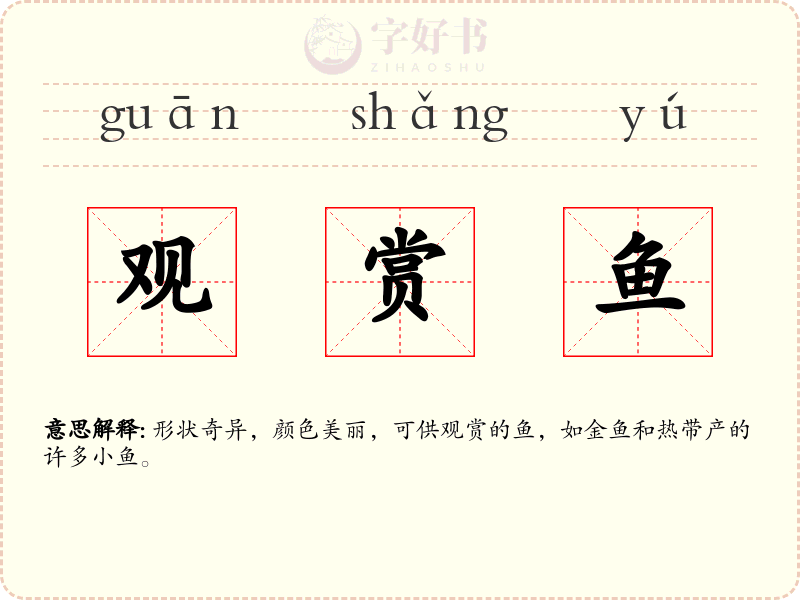 观赏鱼