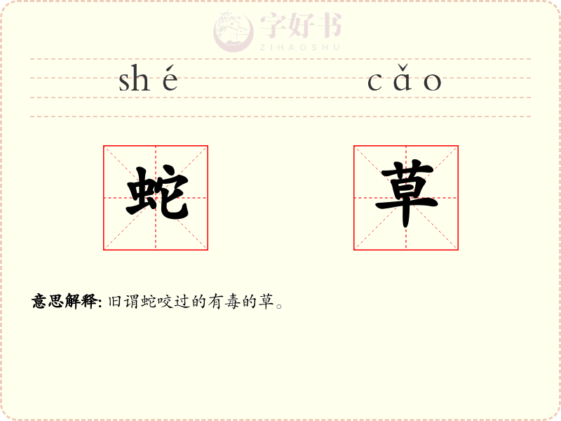 蛇草