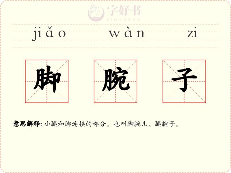 脚腕子