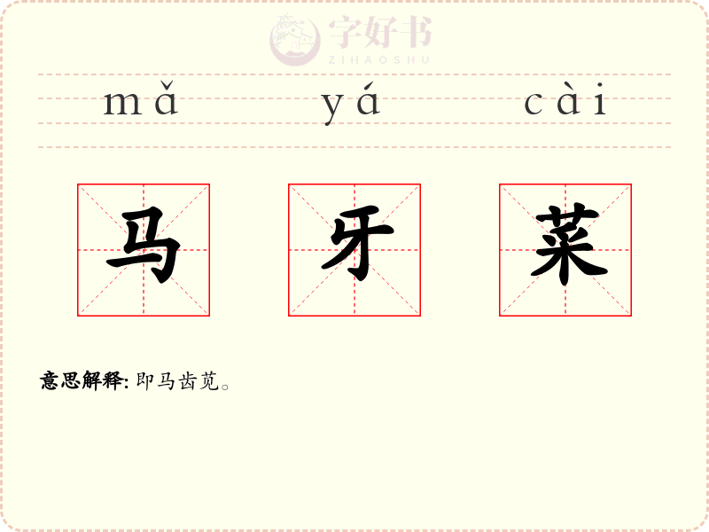马牙菜
