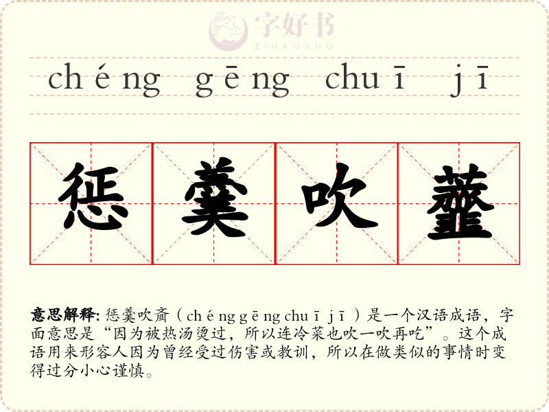 惩羹吹虀