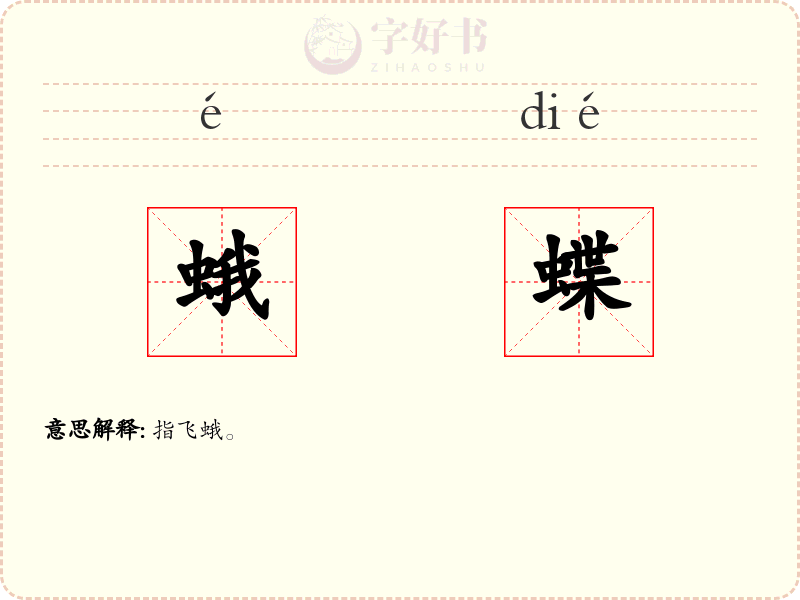 蛾蝶