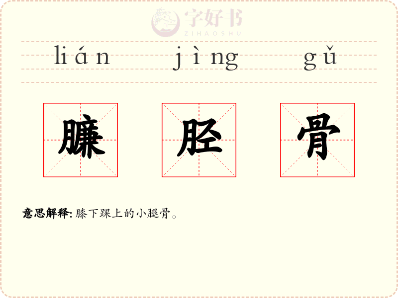 臁胫骨