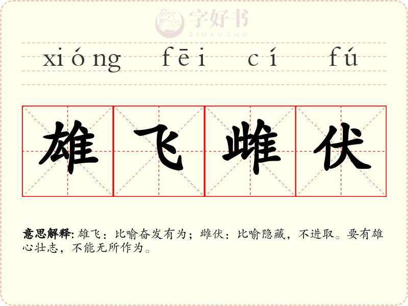雄飞雌伏
