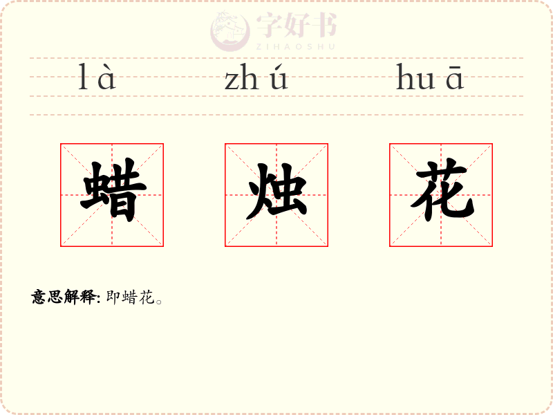 蜡烛花
