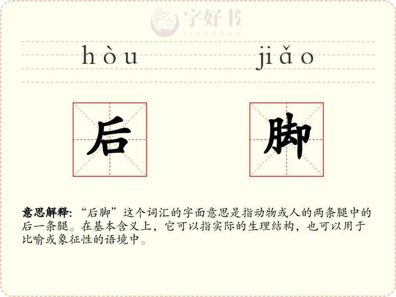 后脚