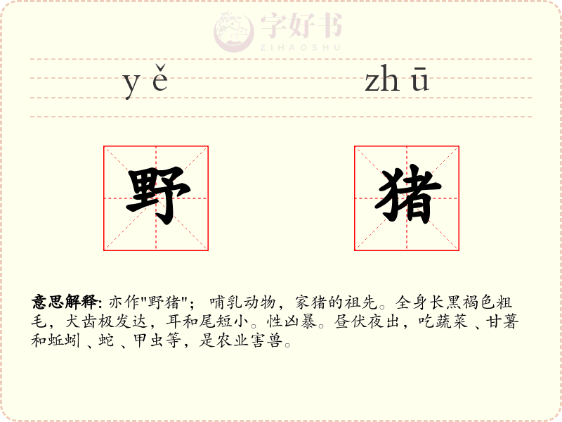 野猪