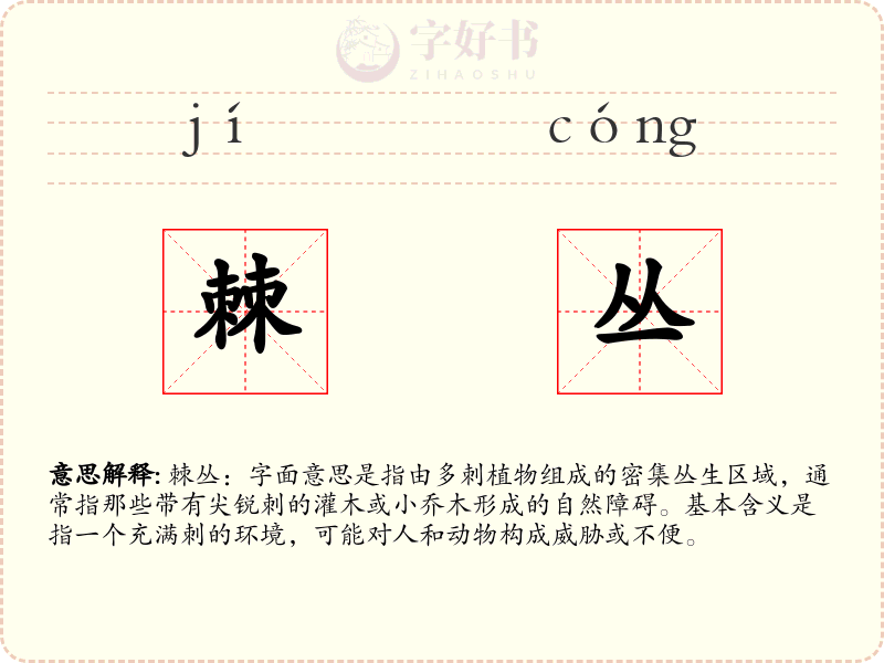 棘丛