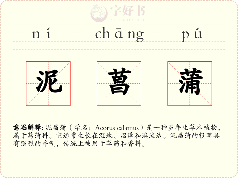 泥菖蒲