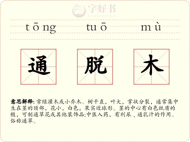 通脱木