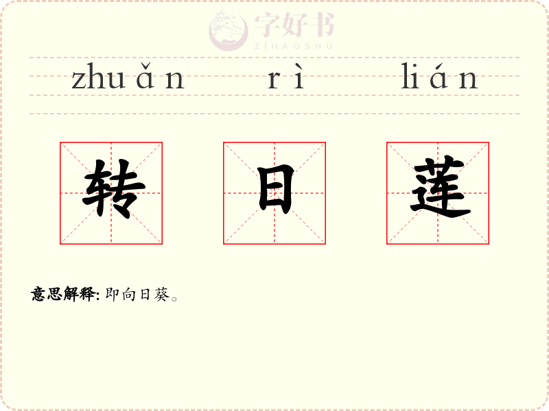 转日莲