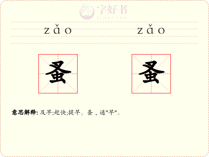 蚤蚤