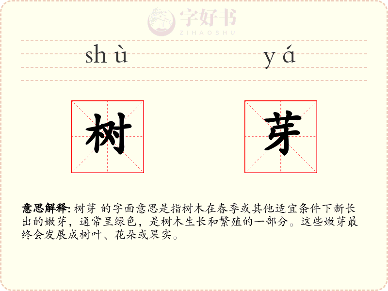树芽