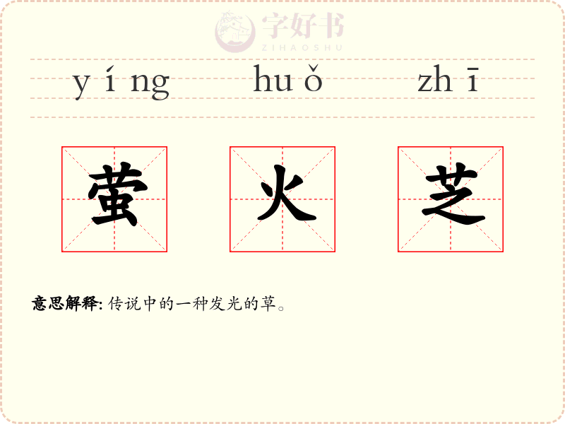 萤火芝