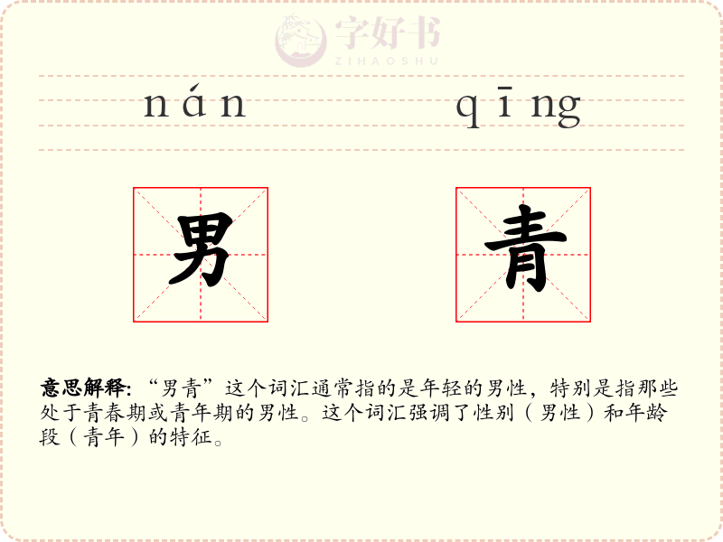 男青