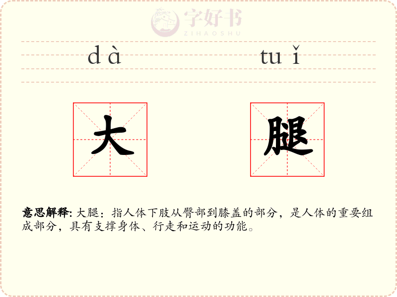 大腿