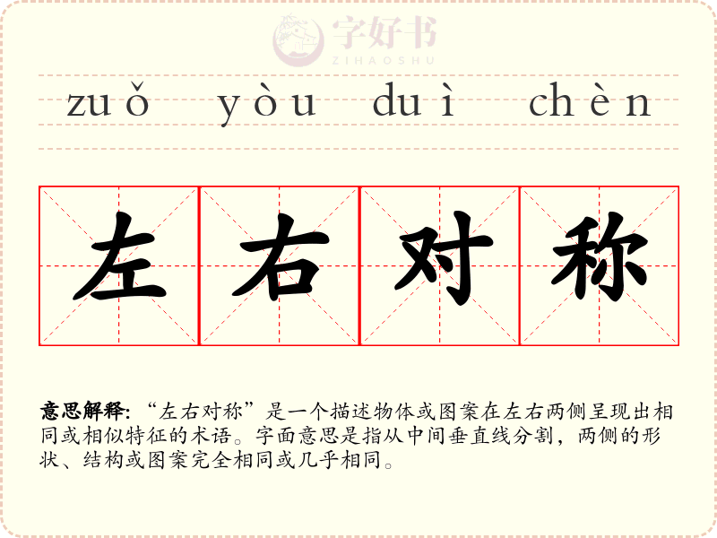 左右对称