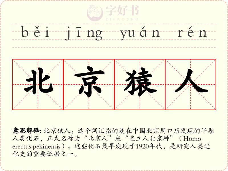 北京猿人