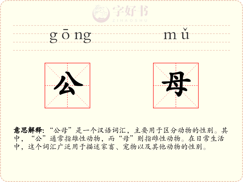公母