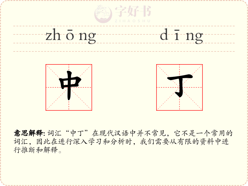 中丁
