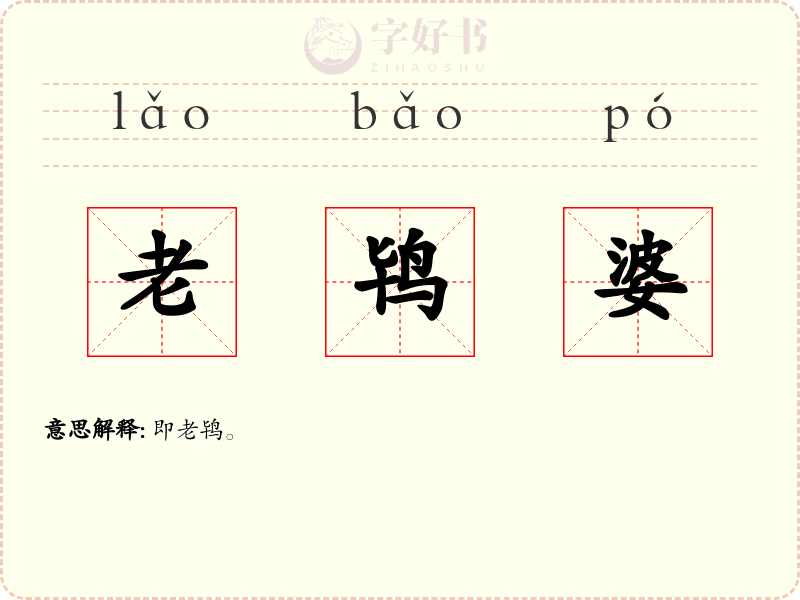 老鸨婆