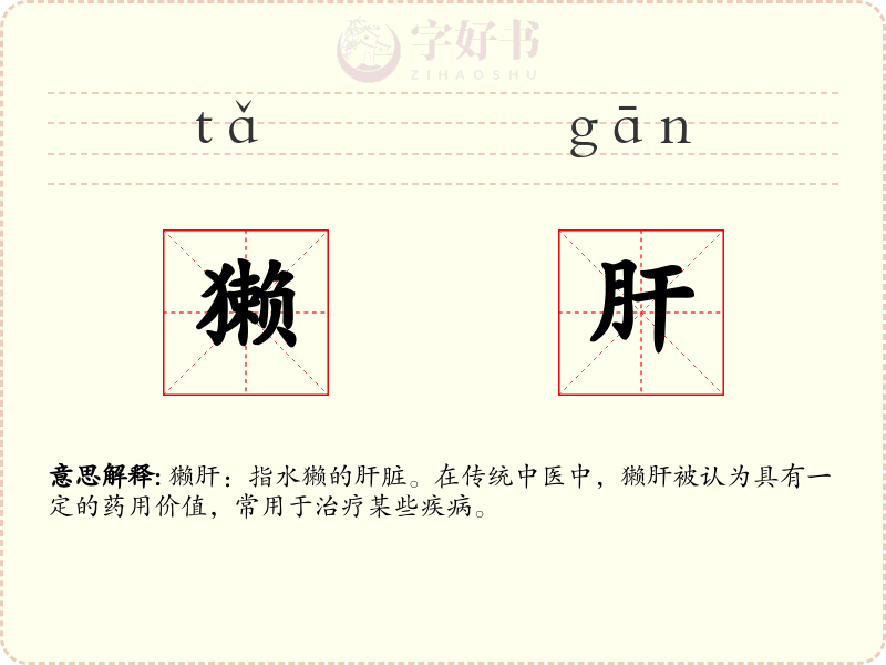 獭肝