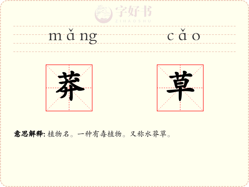 莽草