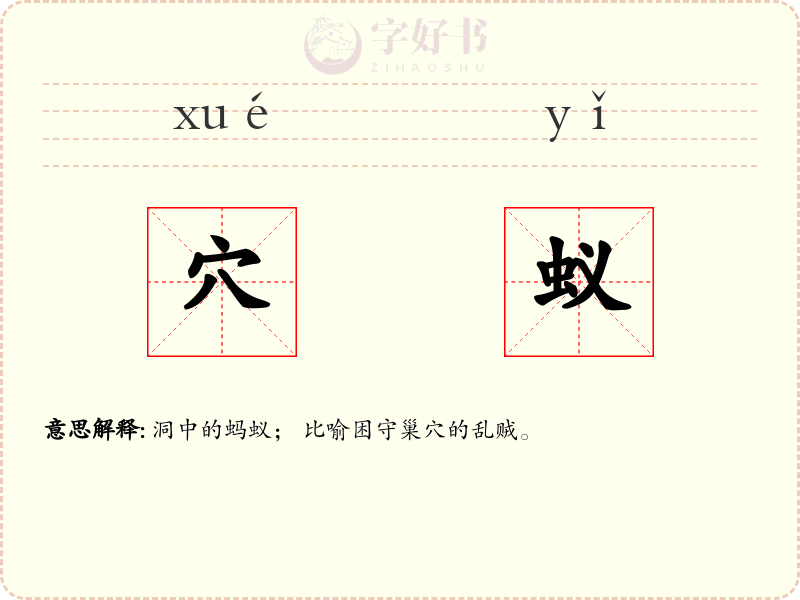 穴蚁