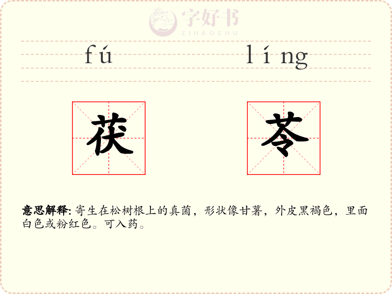 茯苓