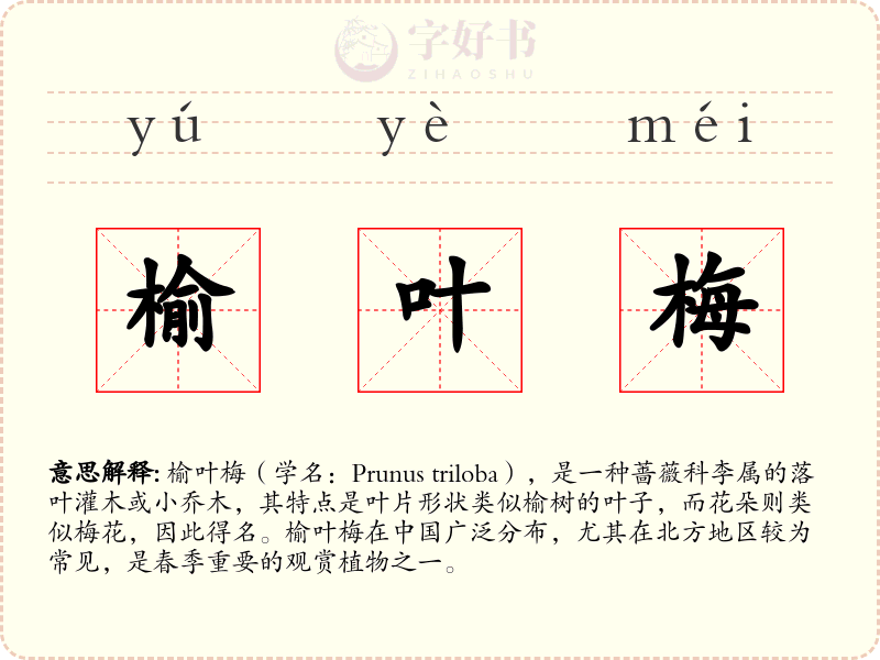 榆叶梅