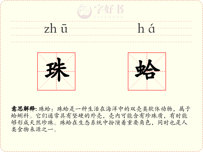 珠蛤