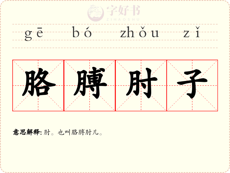 胳膊肘子