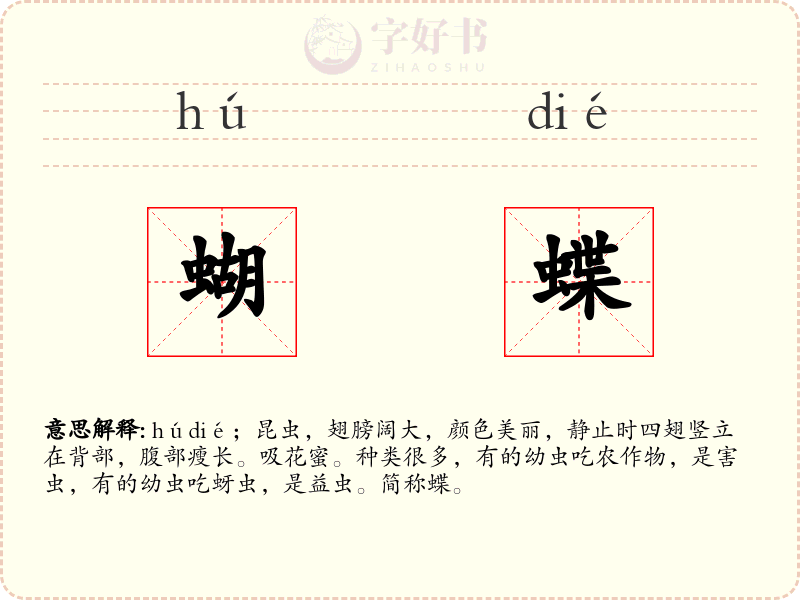 蝴蝶