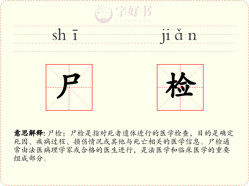 尸检