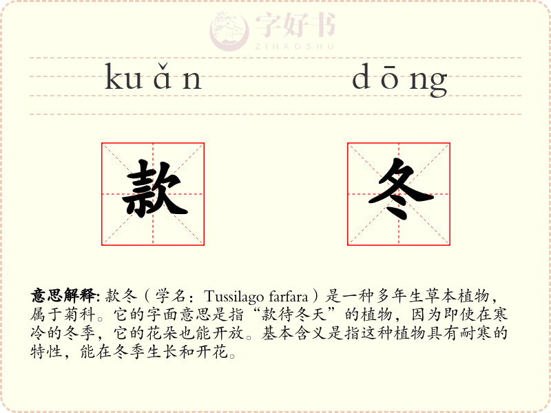 款冬