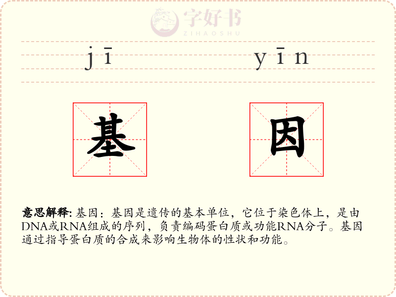 基因