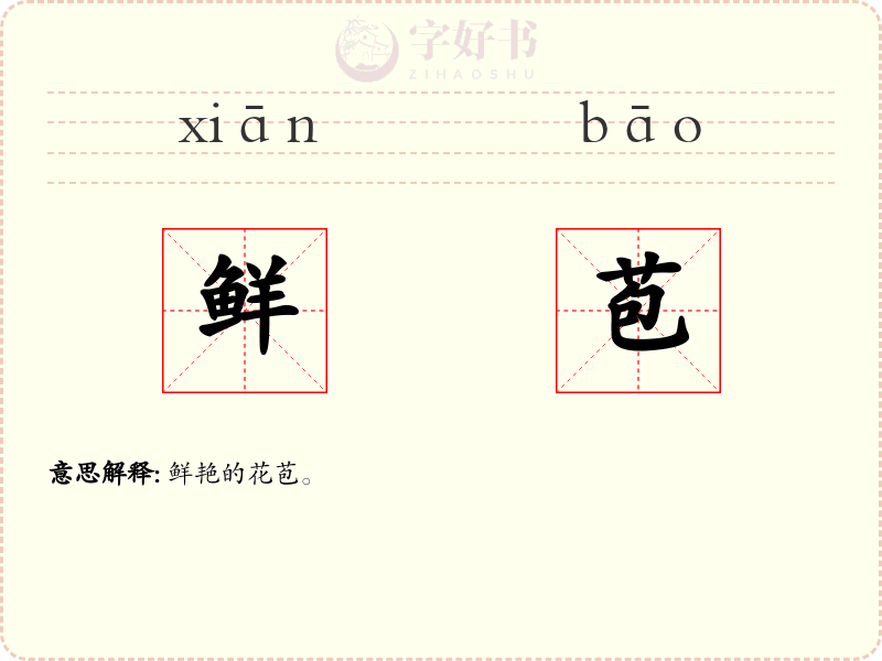 鲜苞