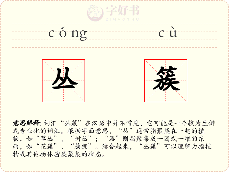 丛簇